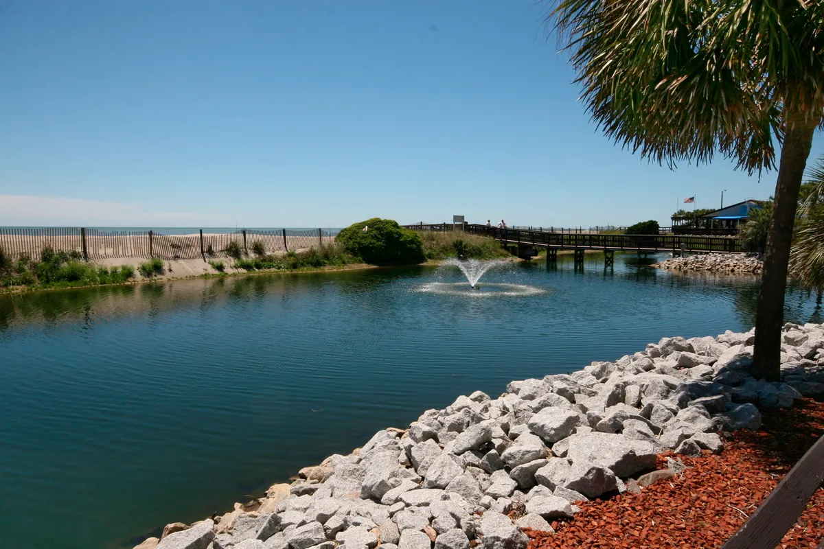 A tranquil pond with a central fountain is bordered by palm trees, with a wooden walkway leading toward a sandy beach in the background. The area invites leisurely strolls, picnics, and relaxing moments under the sun.