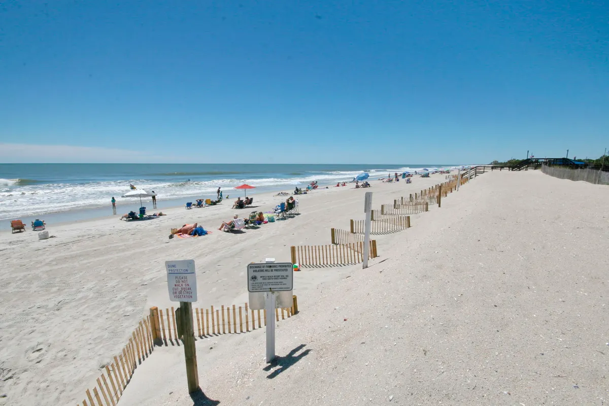 Rows of beach chairs and umbrellas are set up on the sand, overlooking rolling ocean waves and gentle dunes. There are signs of activity and cheerful relaxation, with people sunbathing, swimming, and socializing under umbrellas.